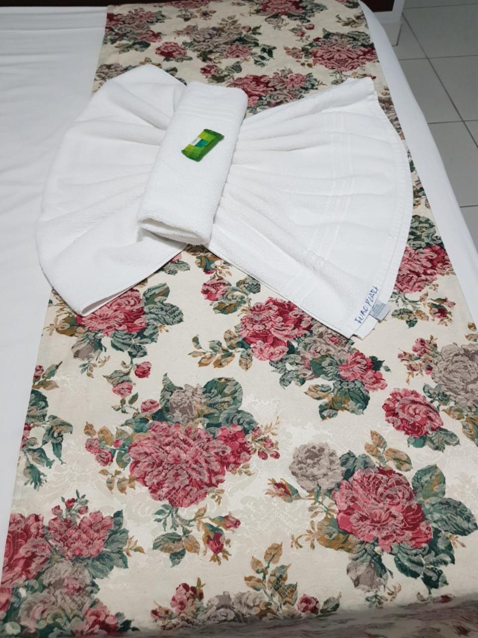 Euro Plaza Hotel - Proximo Ao Aeroporto De Goiania, Santa Genoveva エクステリア 写真